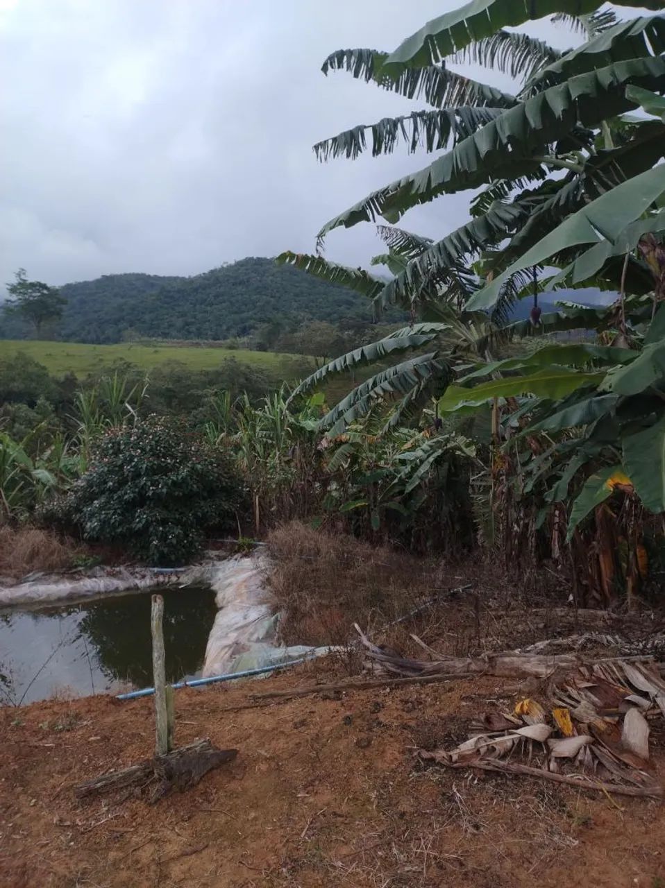 Terreno em Alfredo Chaves - Foto 2