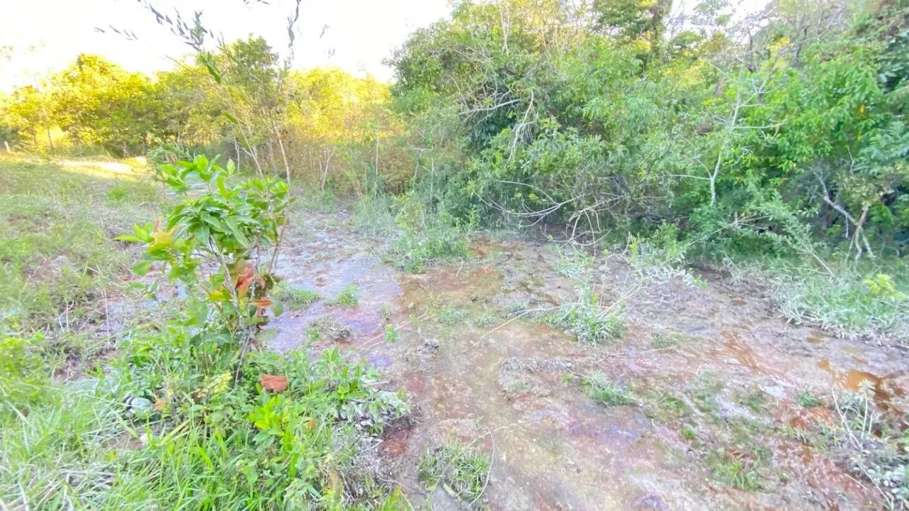 Fazenda em Aragoiânia, 15,8 hectares, 1km do asfalto, 10 km do centro de Aragoiânia, excel - Foto 12