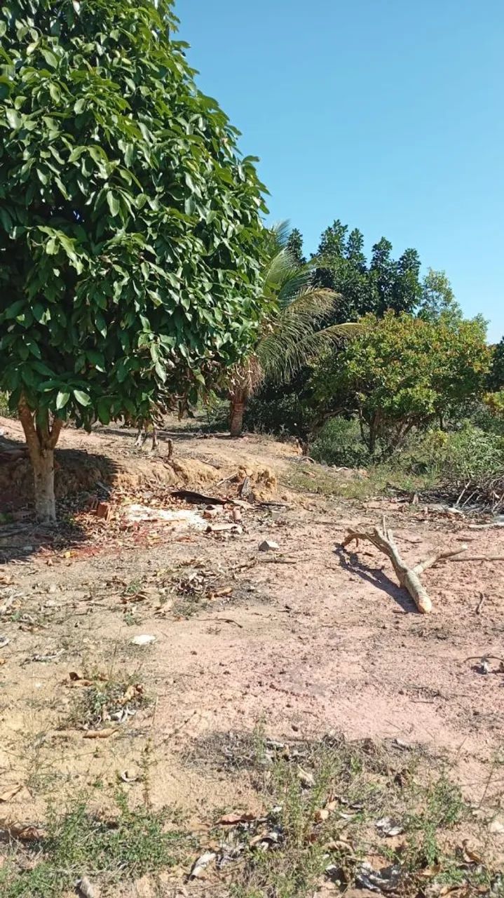 WCM - Chacara Praia da Baleia Vila Velha 300.000,00 - Foto 3