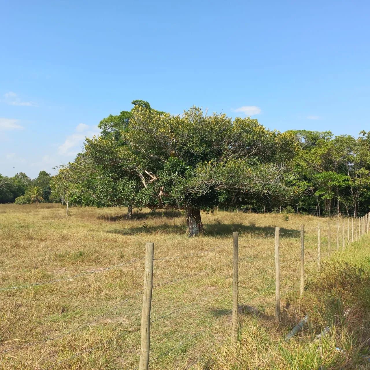 Foto - Aracaju - Centro