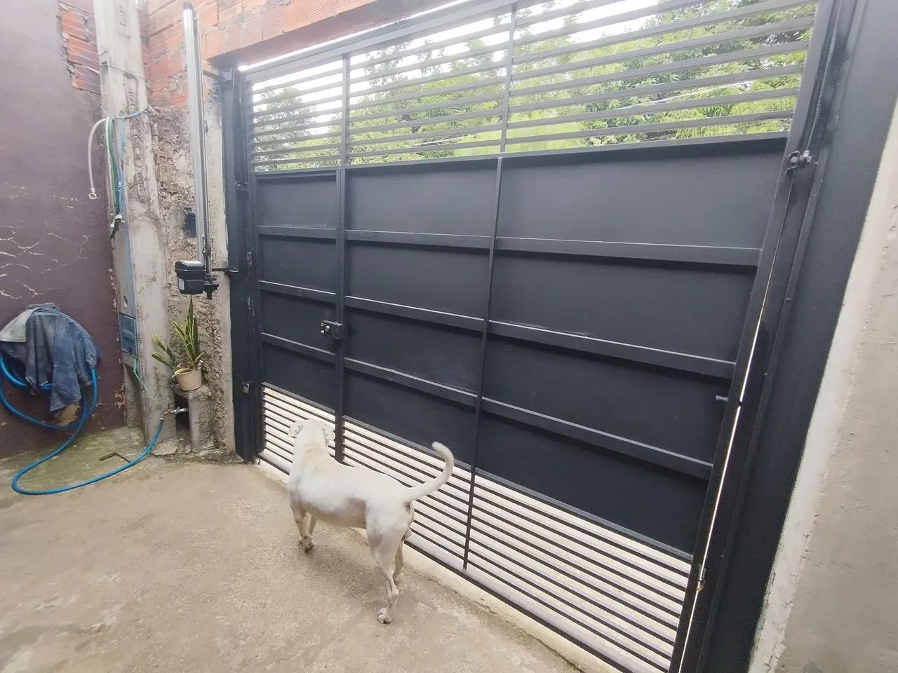 Excelente casa jardim Rodrigo  - Foto 2