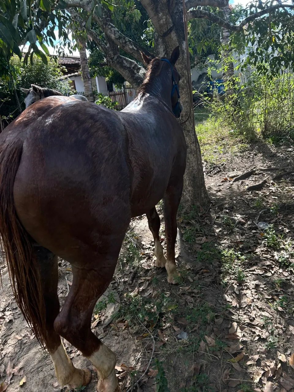 Vende-se  - Foto 2