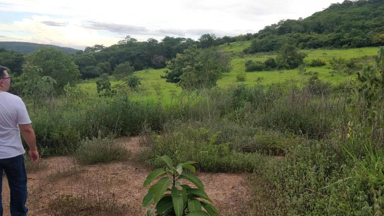 Fazendinha em Bonfinópolis de Minas - Foto 3