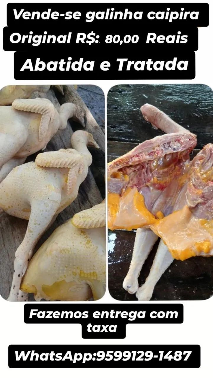 Vende-se galinha caipira e frango caipira original 