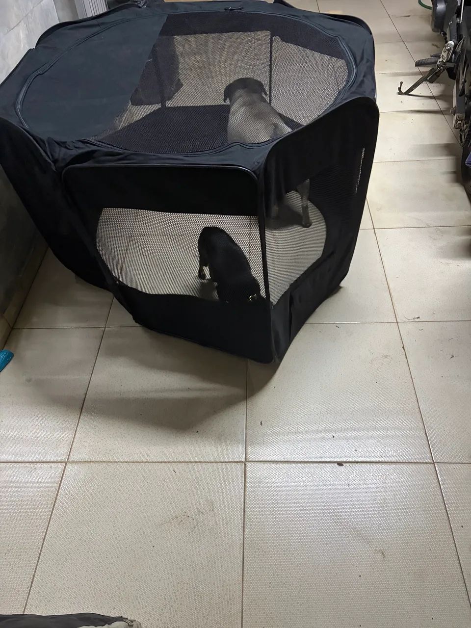 Cercadinho de pet - Foto 2