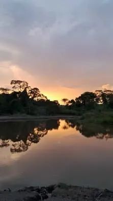 Chacara 33.88ha - Foto 4