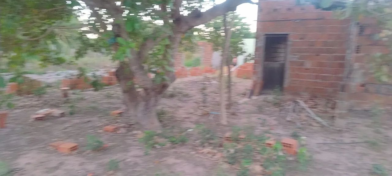 Vendo ou troco terreno com casa  - Foto 10