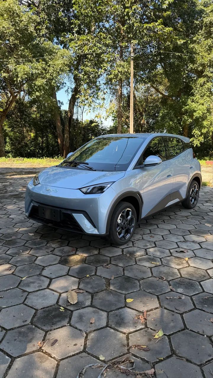 BYD Dolphin Mini (Elétrico) 2027