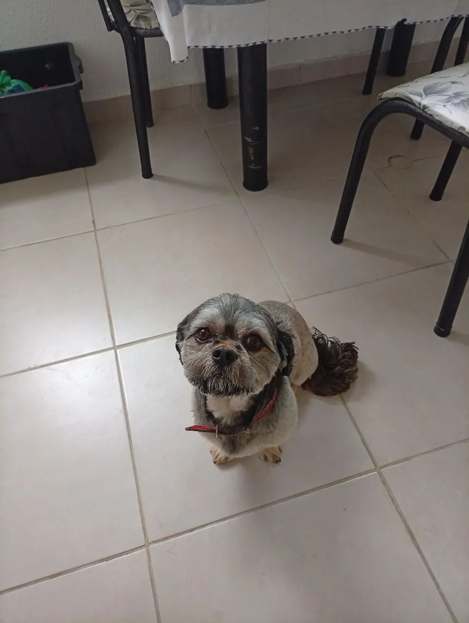 Doação  - Foto 3
