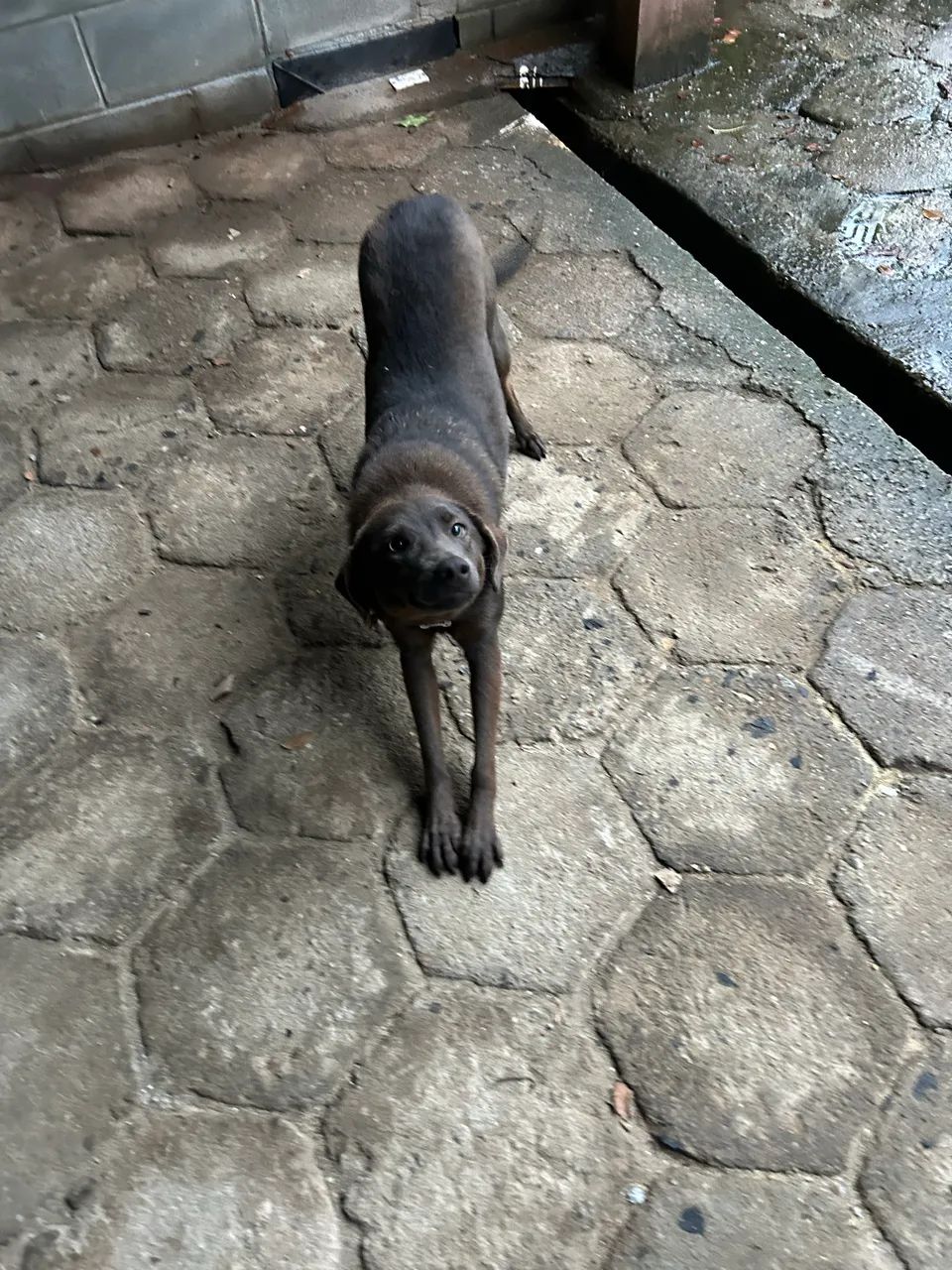 Lua