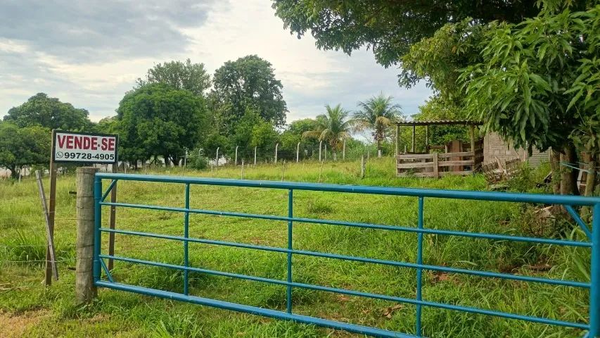 Foto - Presidente Prudente - Floresta do Sul