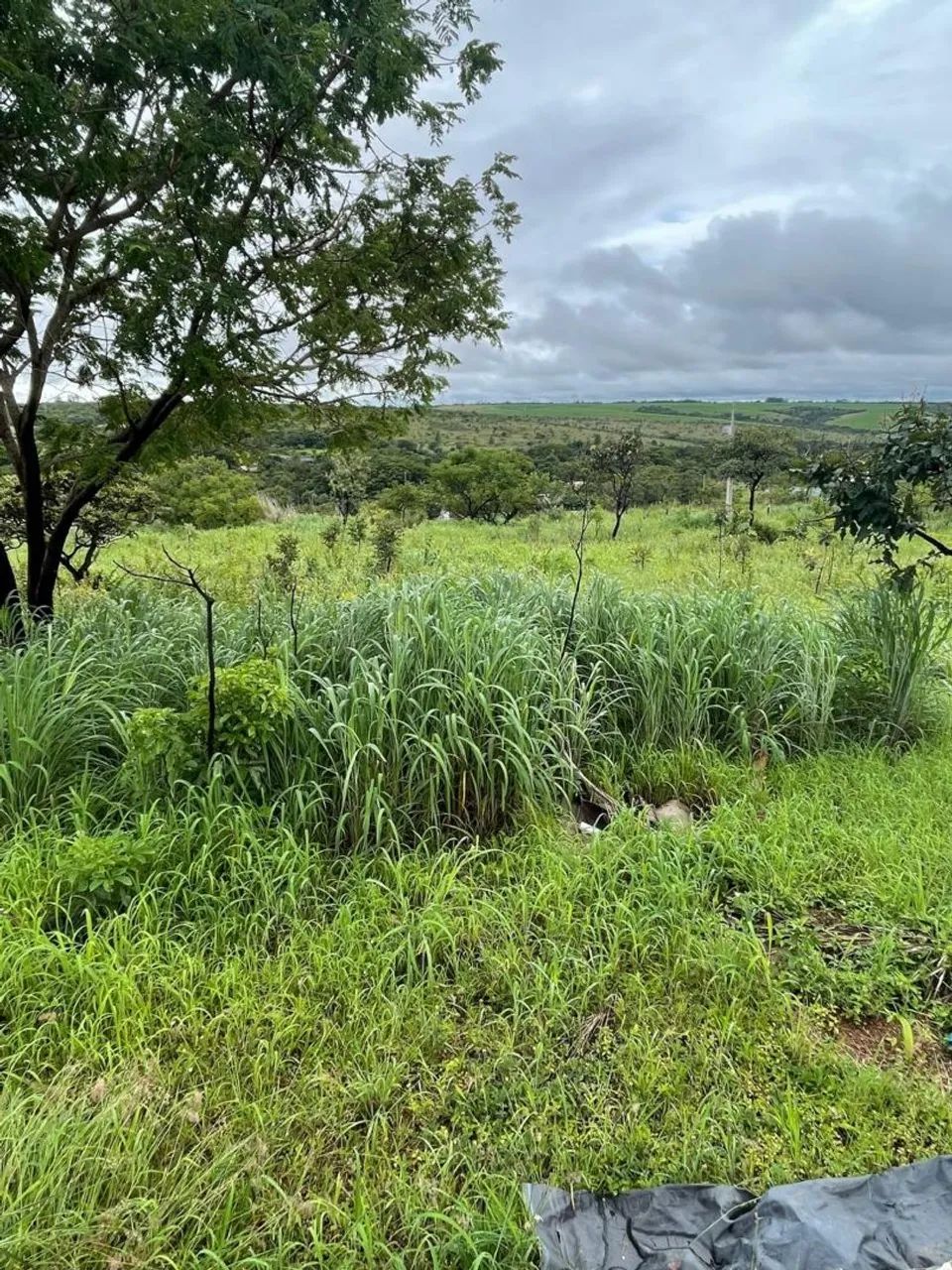 Vendo - Foto 4
