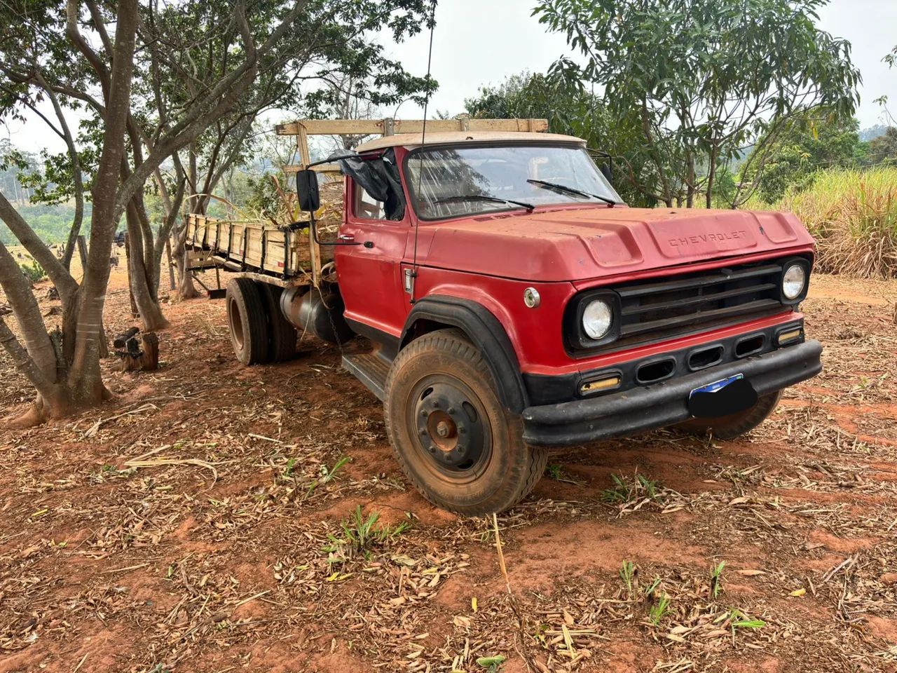 Caminhão D65 