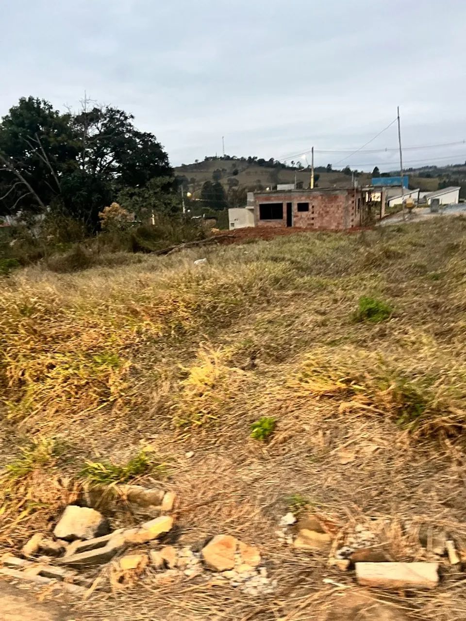 Lote em Crucilândia - Foto 2