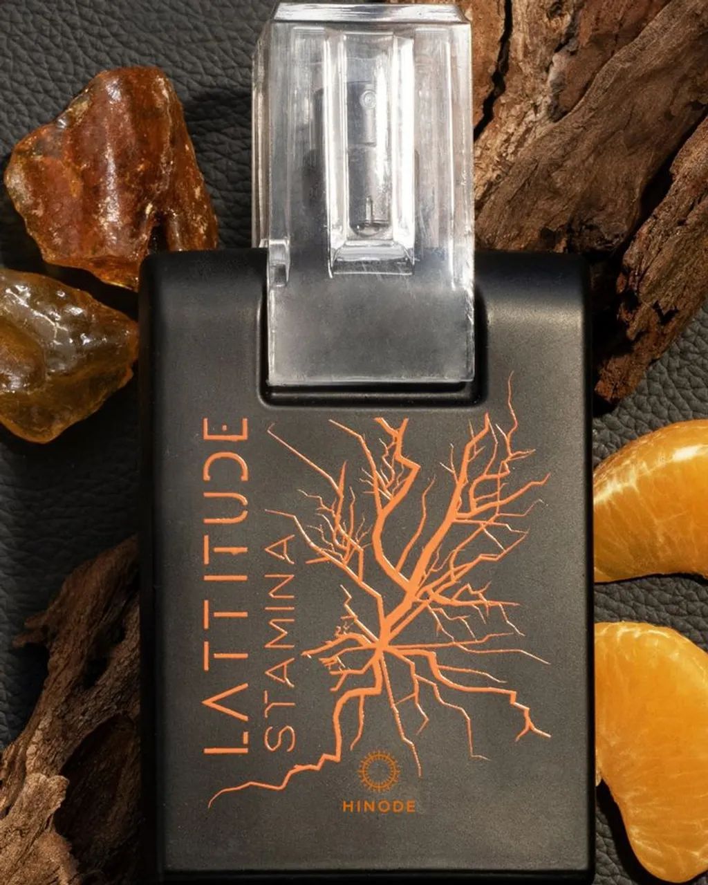 Latitude Stamina da Hinode  - Foto 4