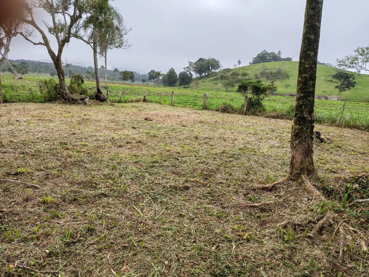 Terreno  - Foto 2