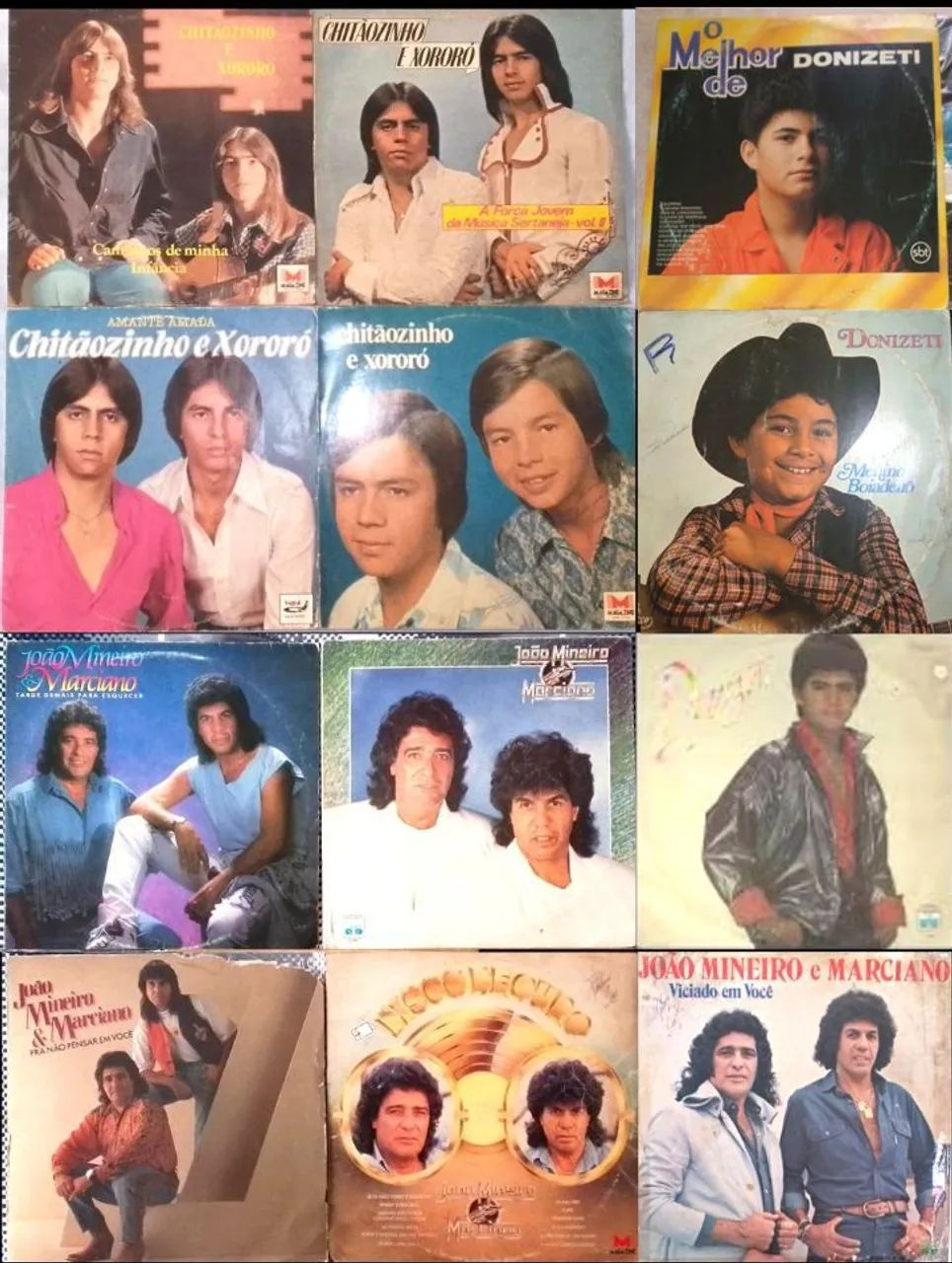 12 LPs Sertanejo