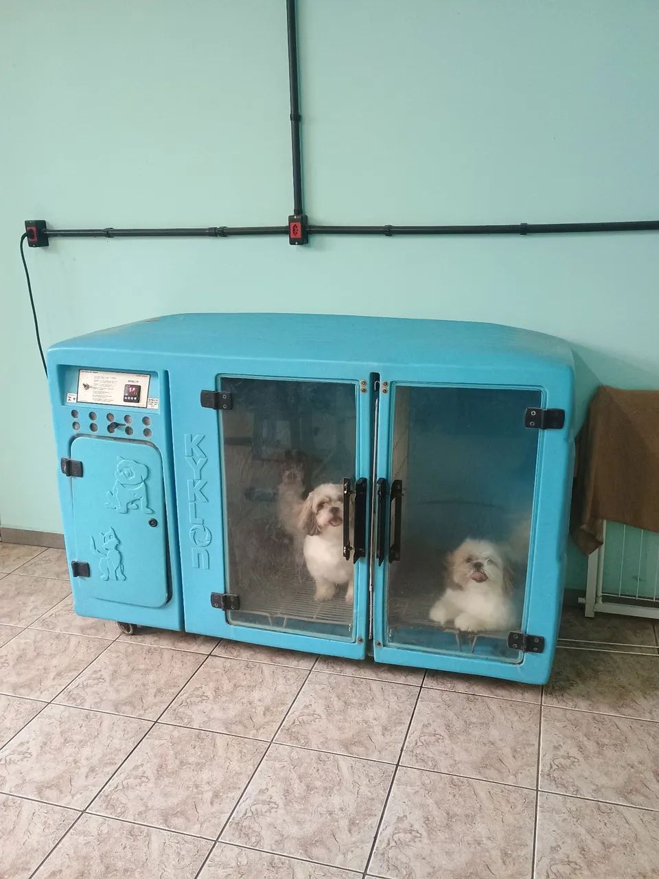Vende-se banho e tosa completo - Foto 5