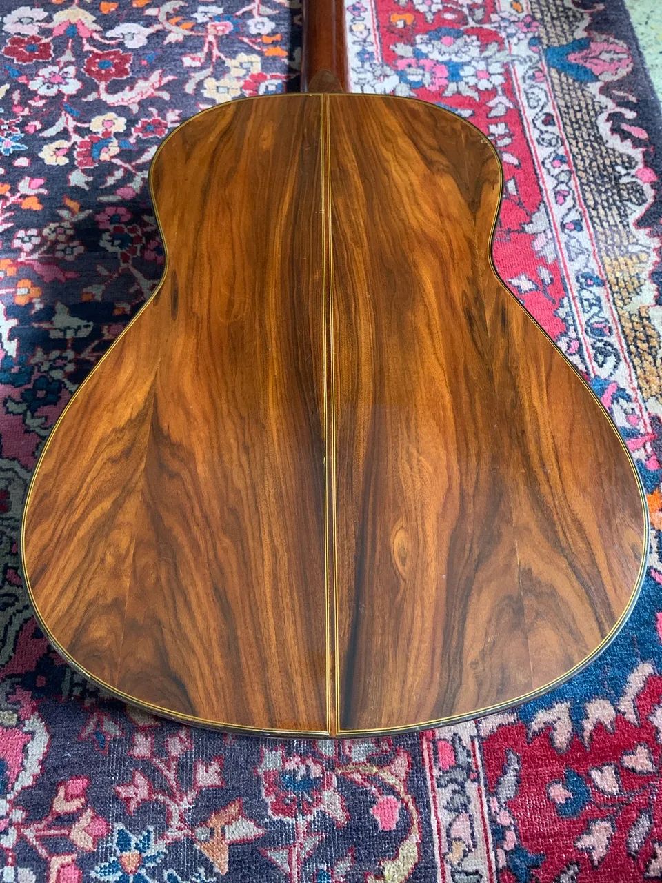 Viola Caipira Giannini - Foto 2