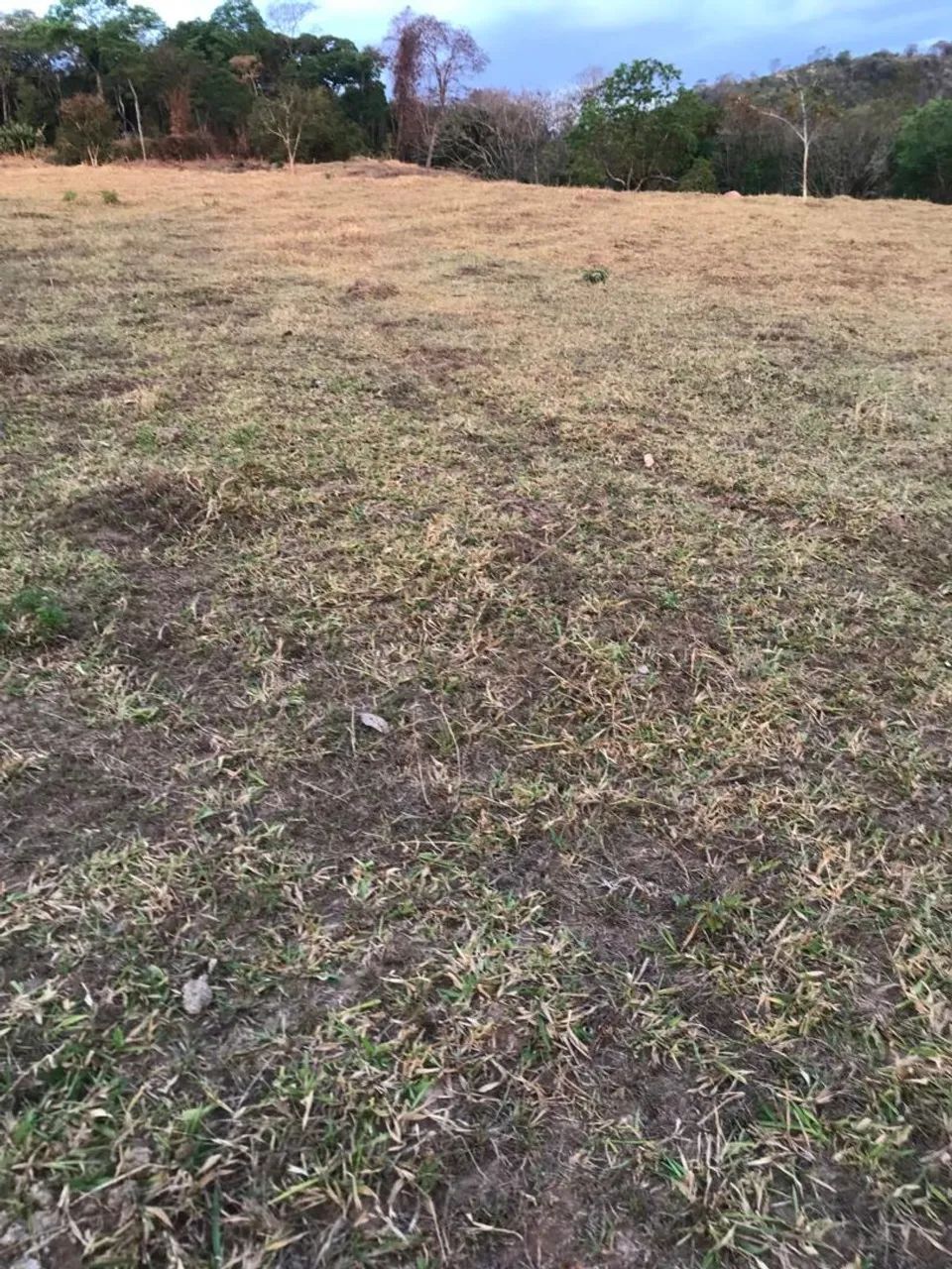 Vendo Terreno em Pirenópolis  - Foto 4