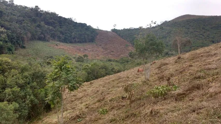 Vende se sítio  - Foto 3