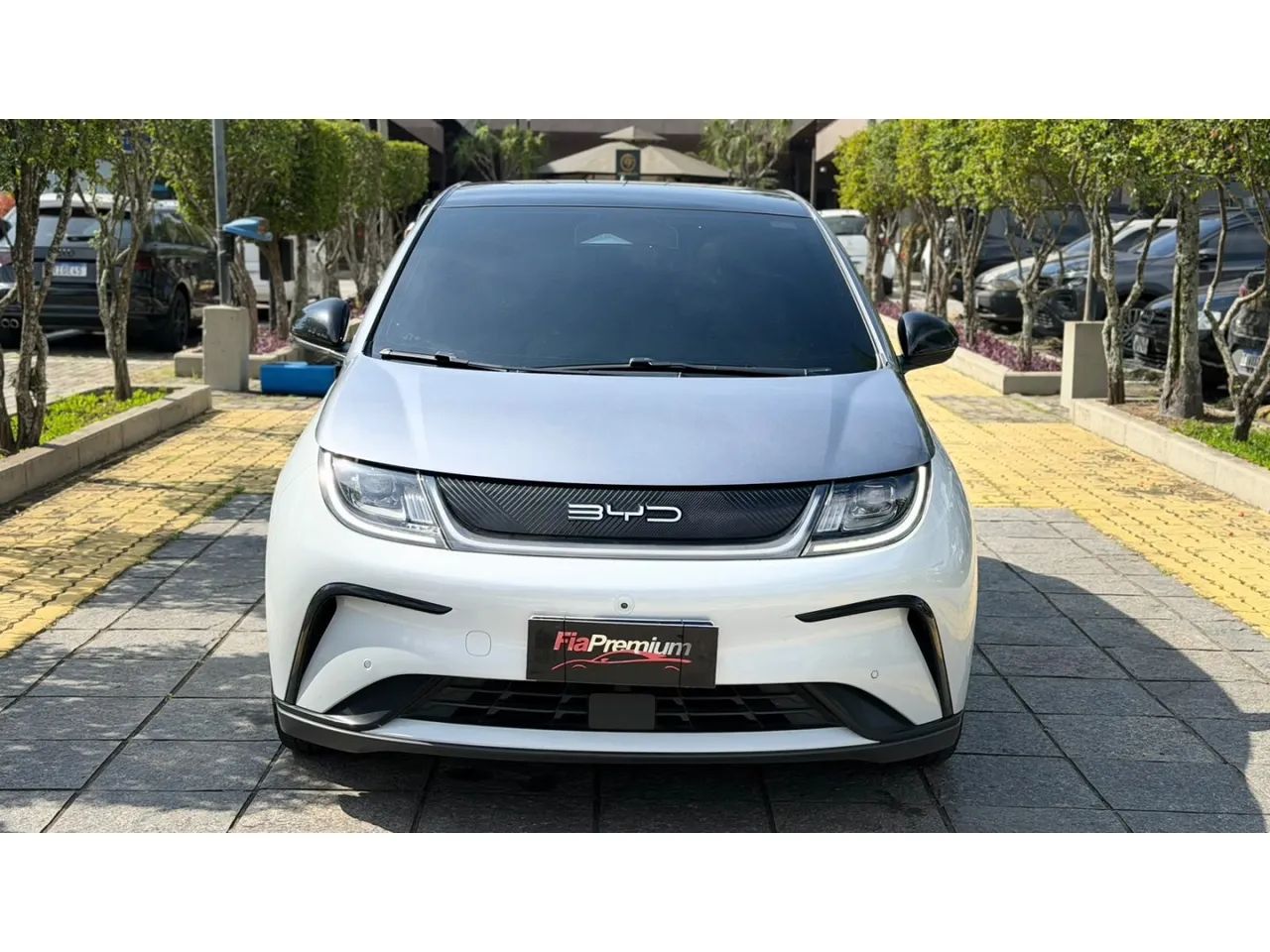 BYD Dolphin Plus (Elétrico) 2025 - Foto 3