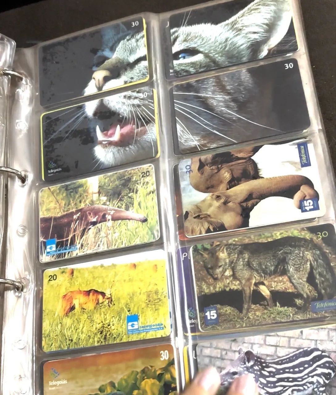 Coleção de cartões  - Foto 4