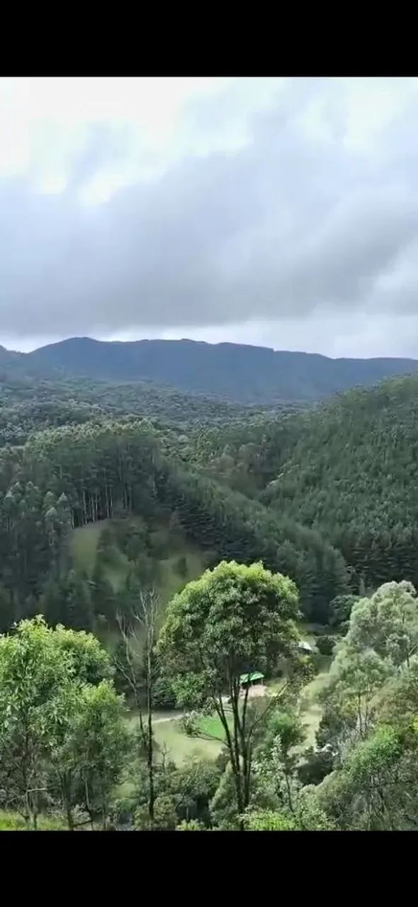 40 hectares Anitápolis SC  - Foto 4