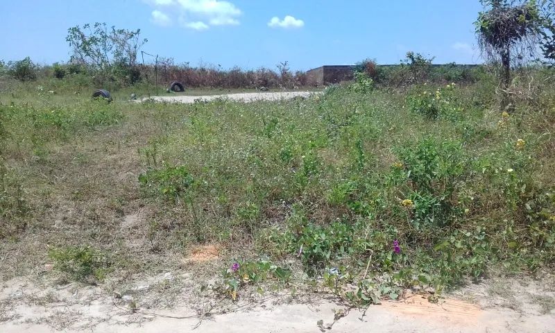 Lote / Terreno 250m2 - Loteamento Nova Canaã