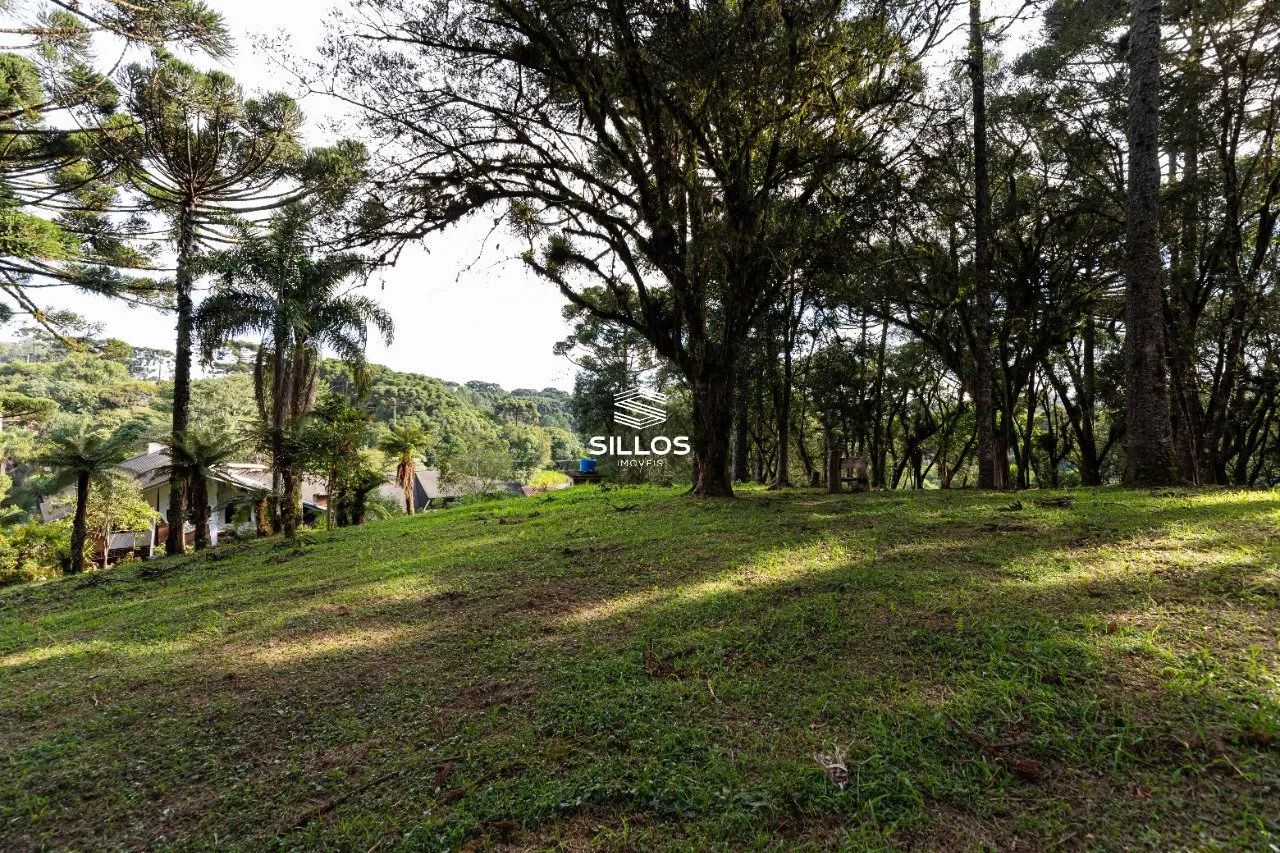 Chácara à venda com 80.000m² em Butiatuvinha em Curitiba - Foto 7