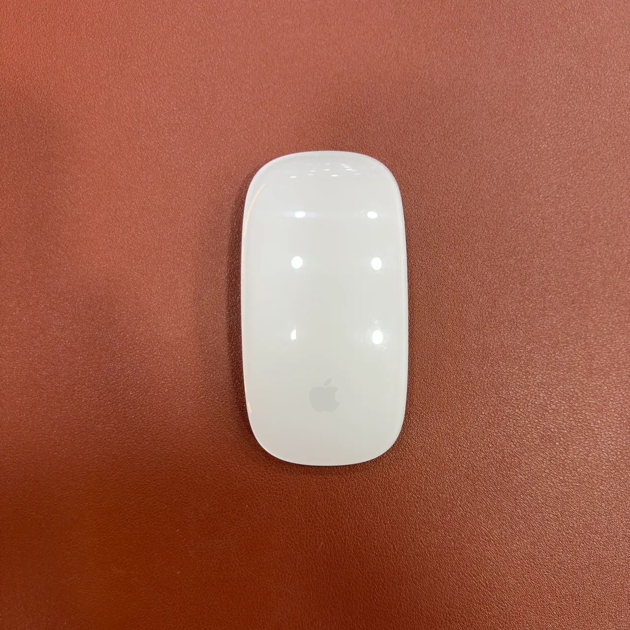 MAGIC MOUSE 