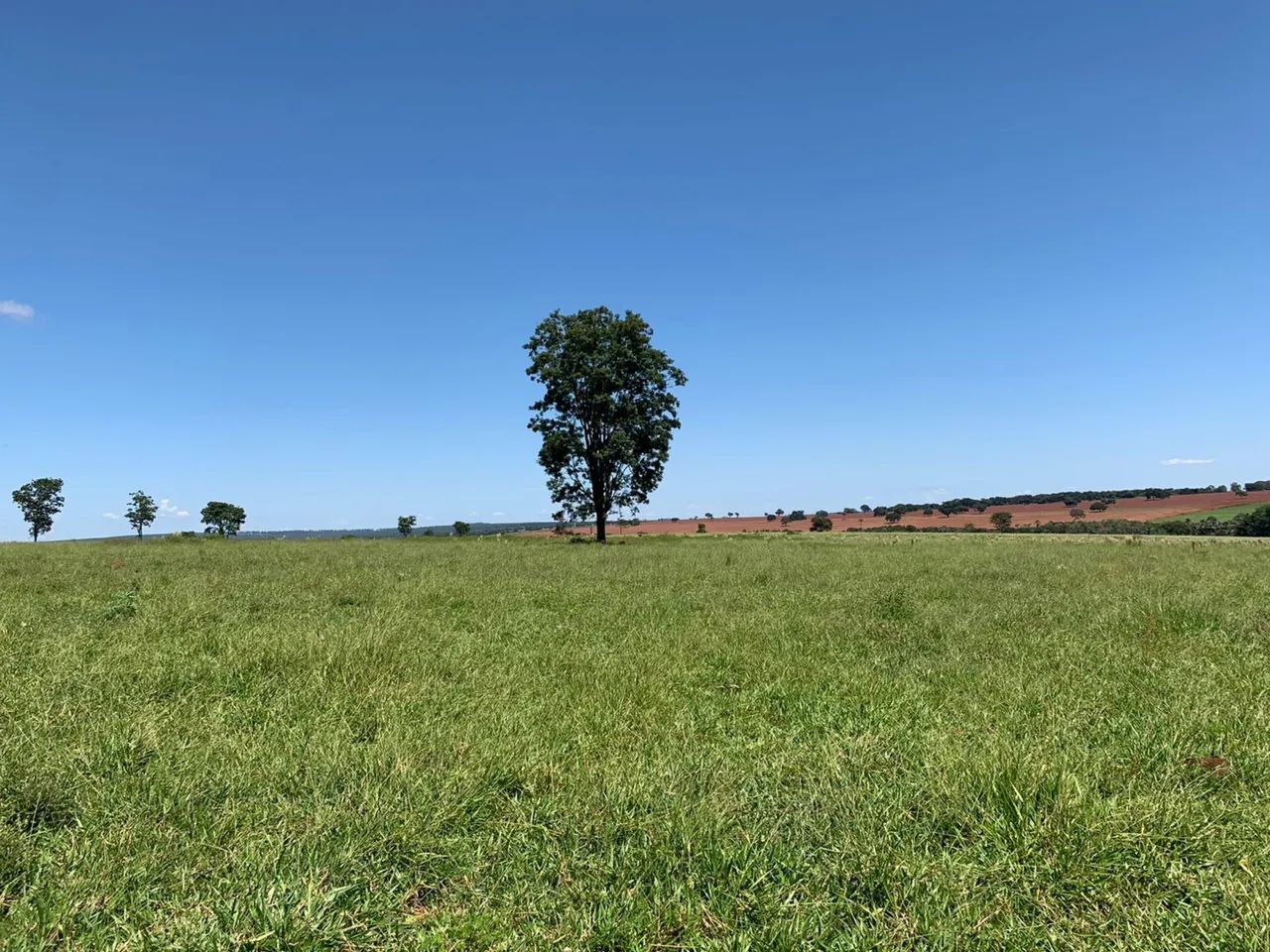 Fazenda dupla aptidão próximo Uberlândia  - Foto 3