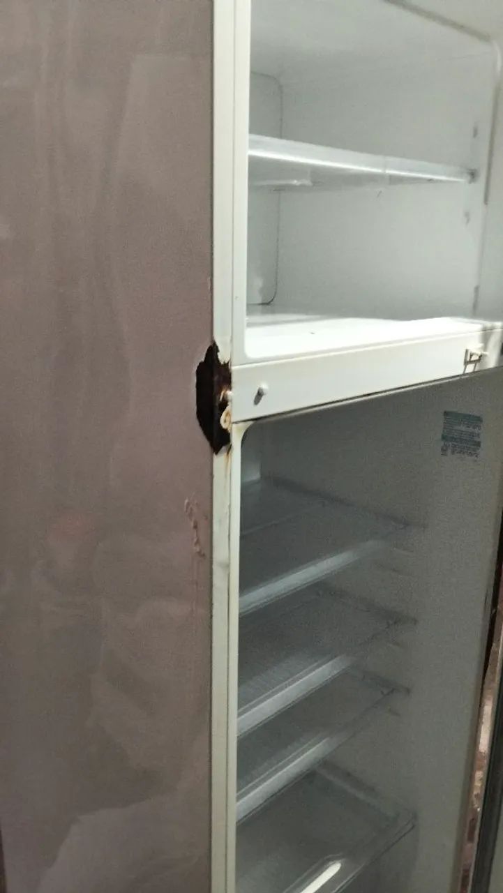 Geladeira Eletrolux super freezer DC49A - Foto 5
