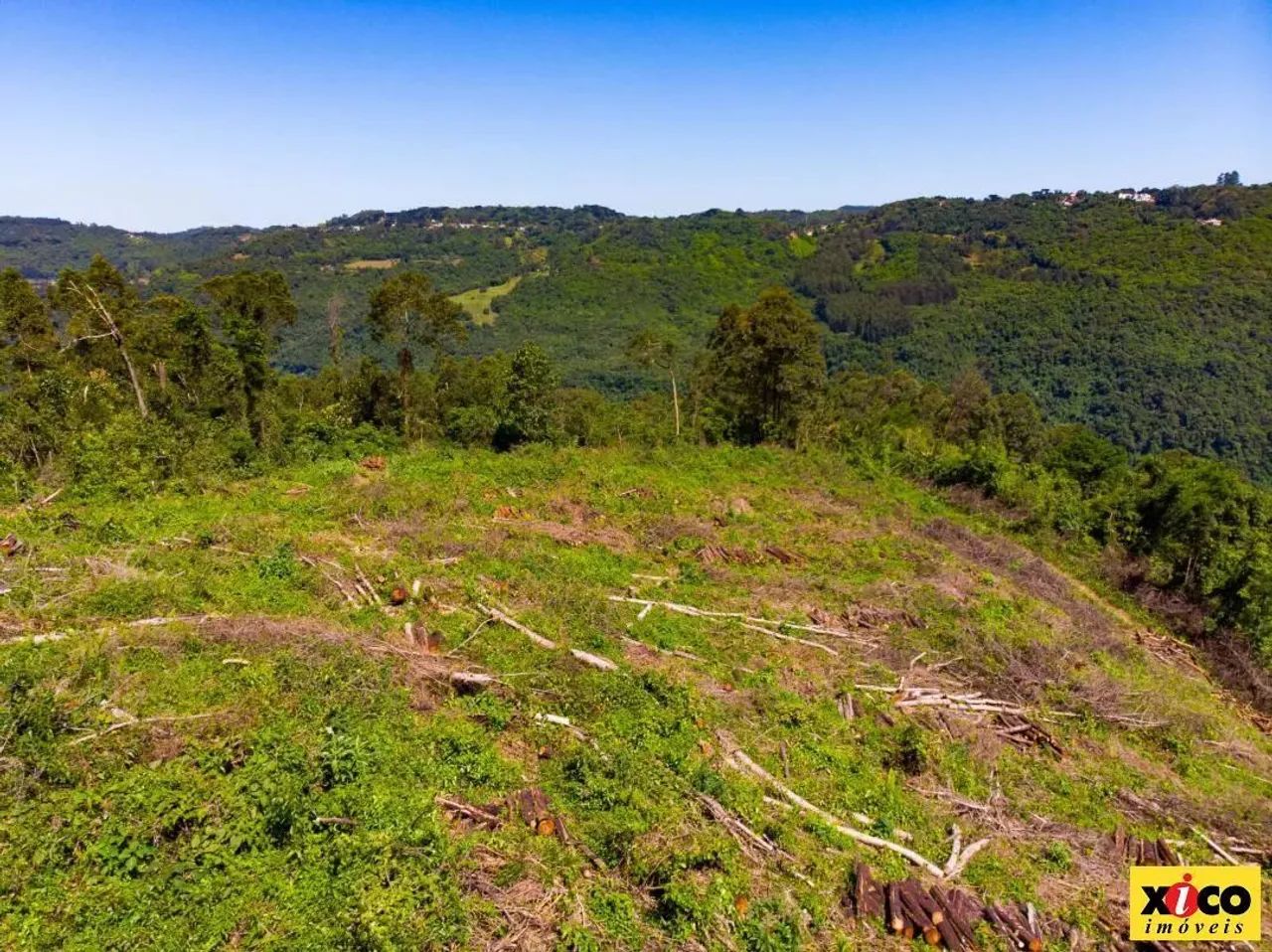 Sítio / Chácara para Venda em Nova Petrópolis, São Jacó - Foto 5