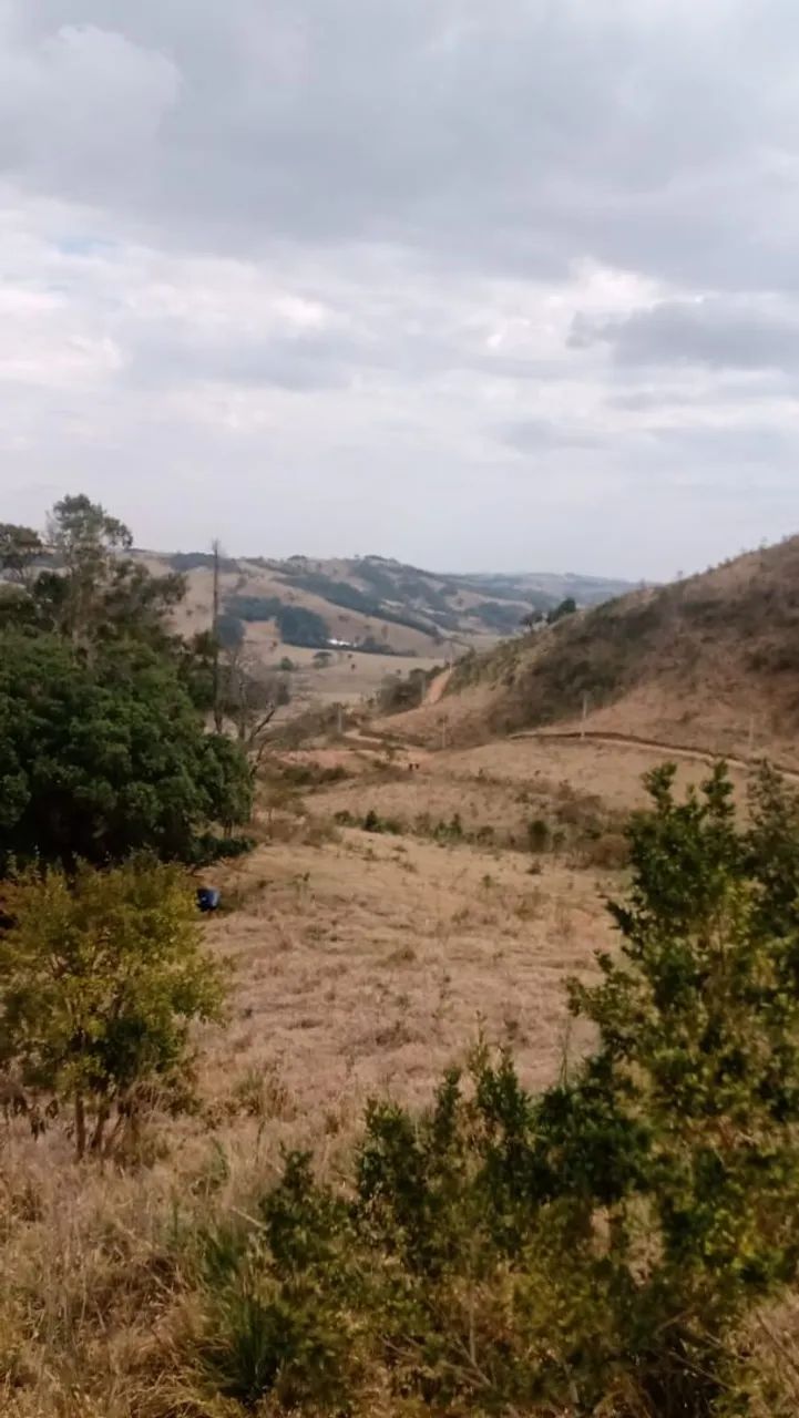 Sítio em Bueno Brandão  - Foto 4
