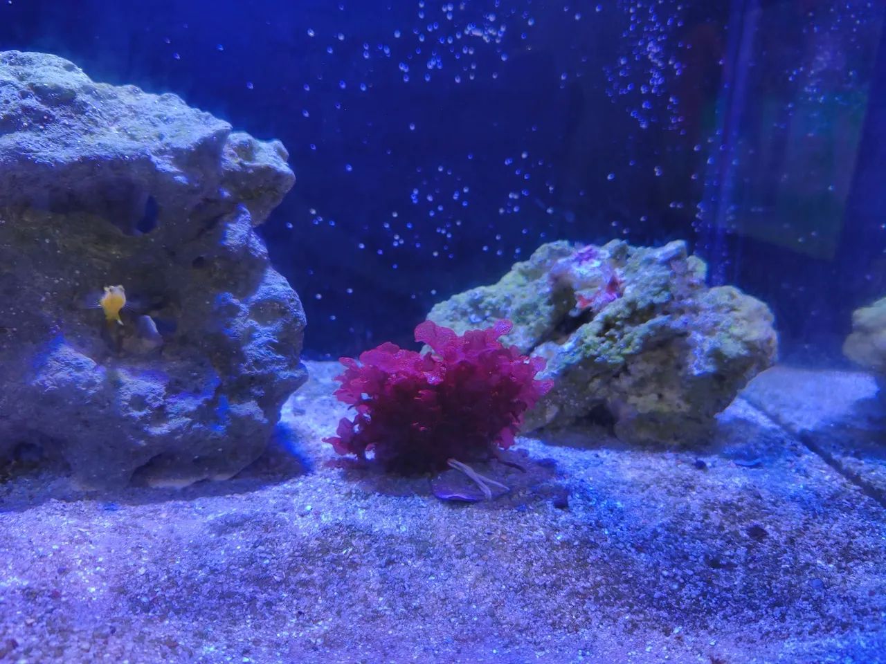 Aquário 72L ocean Tech - Foto 3