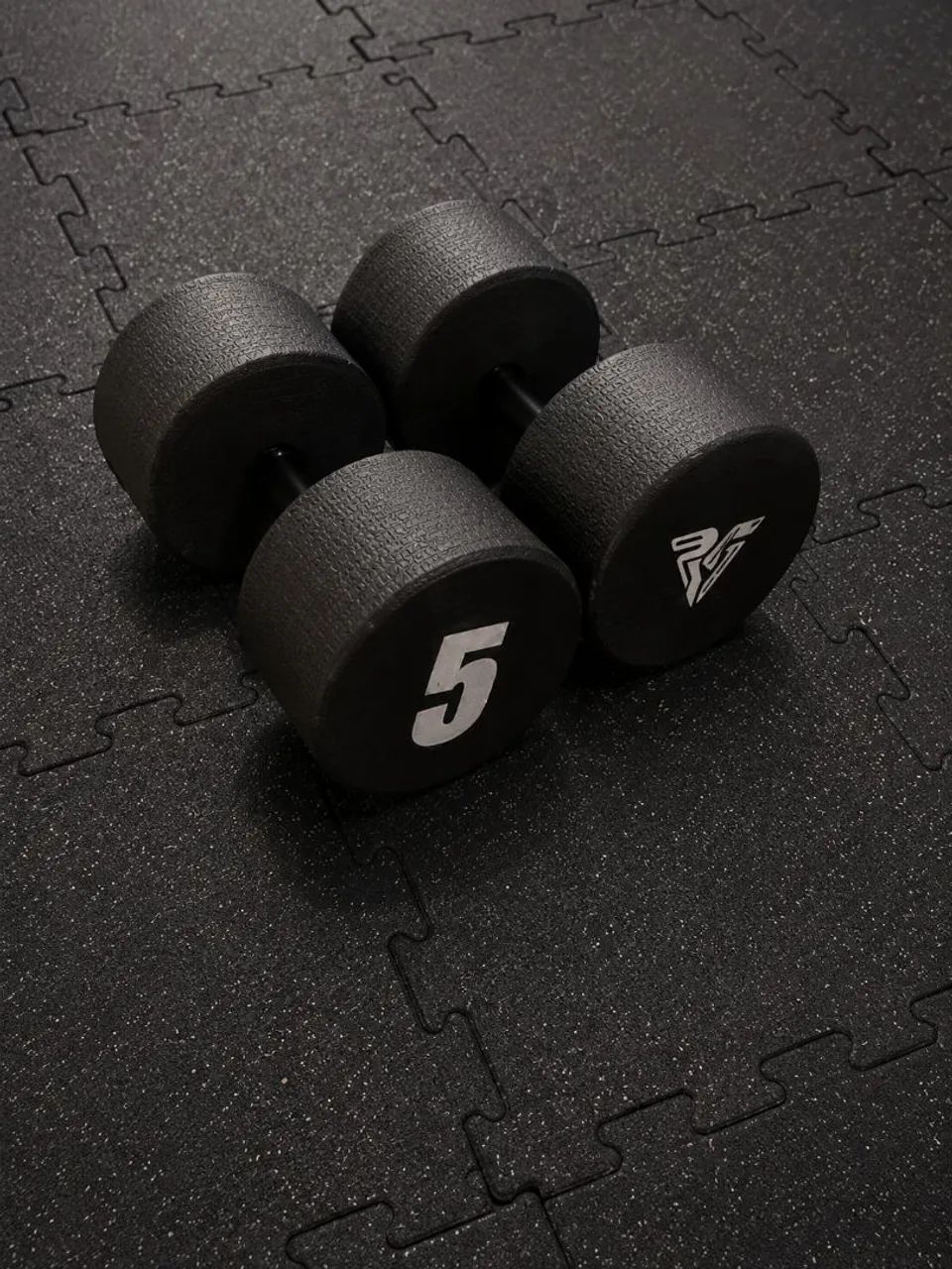 Dois halteres de 5kg 