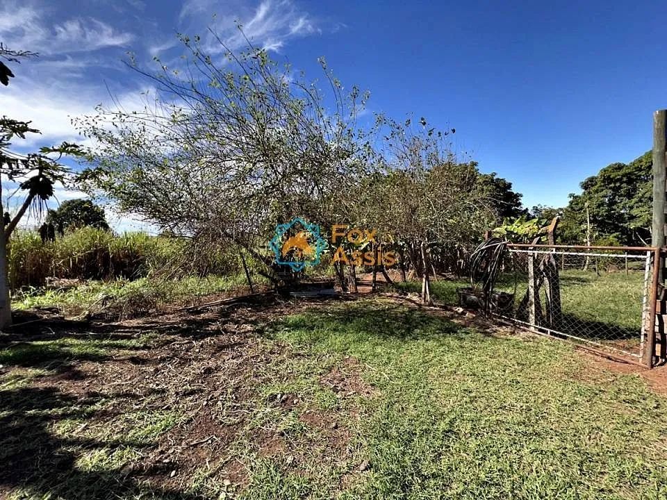 Sítio á venda bairro Jaguari Limeira. - Foto 5