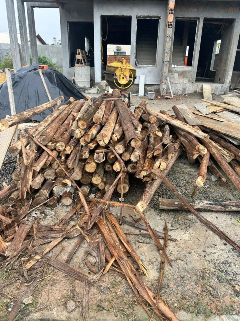 Escoras de eucalipto para obra