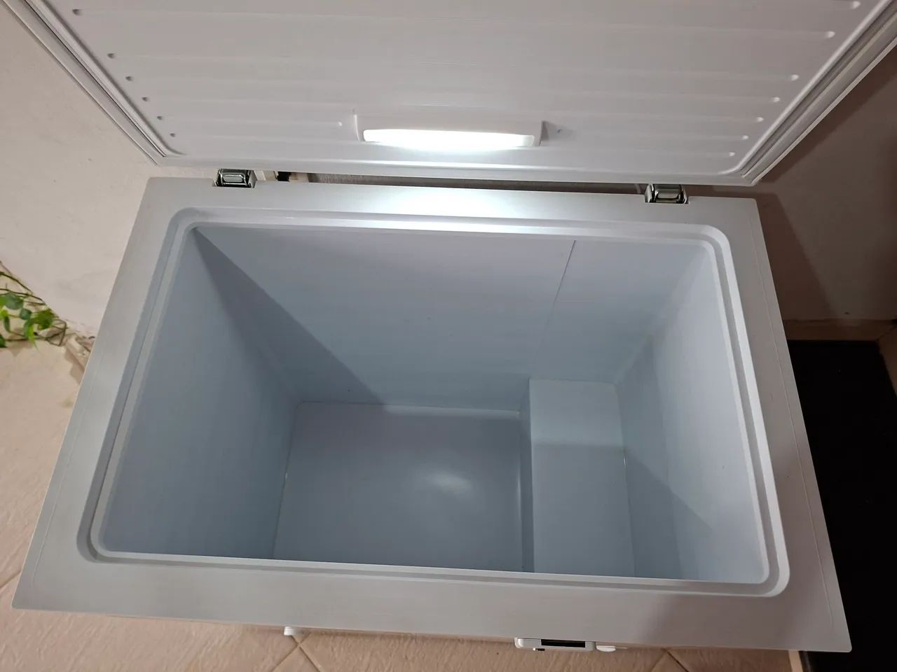 Freezer Horizontal Electrolux - Foto 3