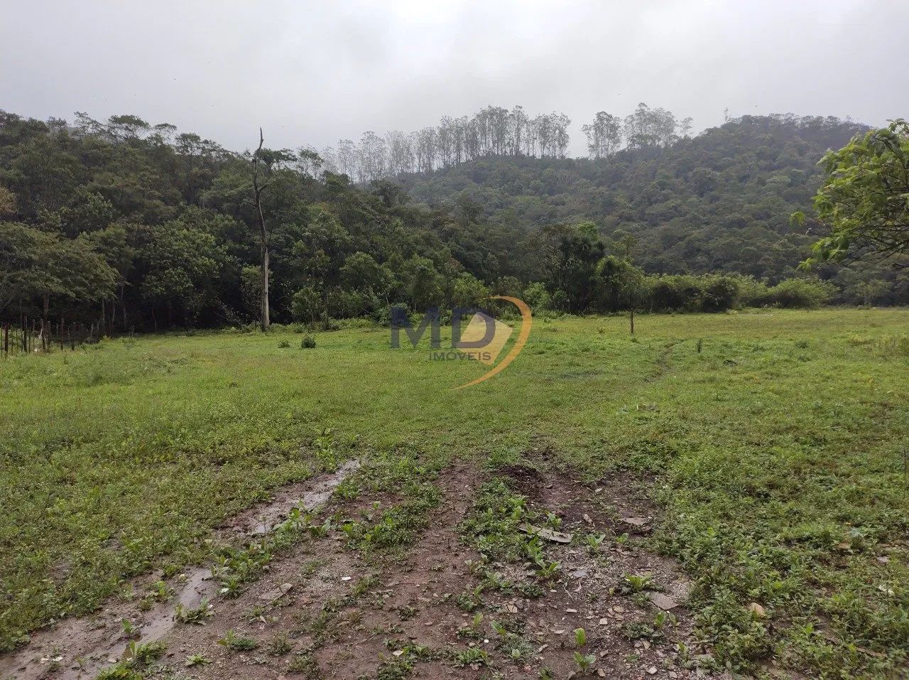 Área industrial 148.000m² para venda em Mauá! - Foto 2