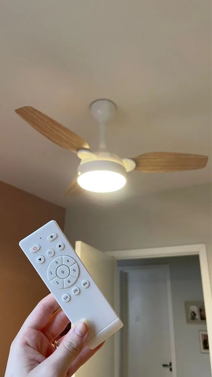 Ventilador de teto 