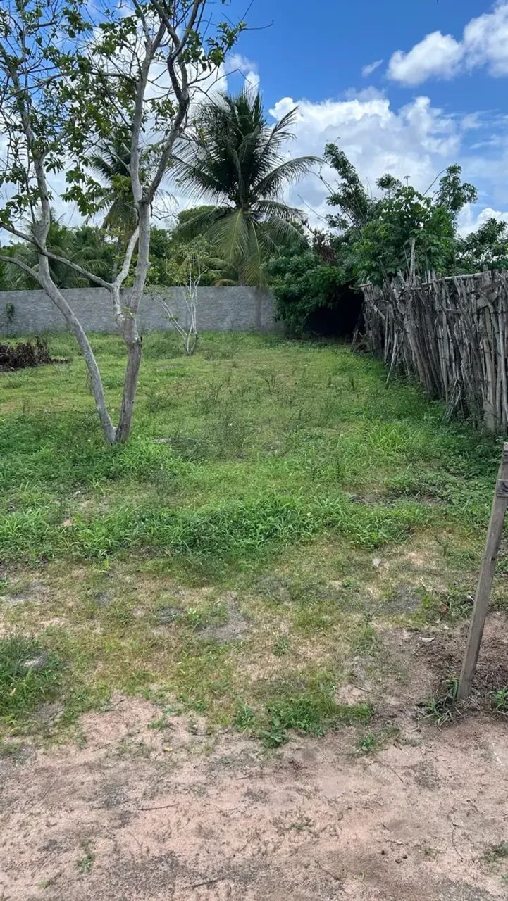 LINDO SITIO MATÃO - Foto 4