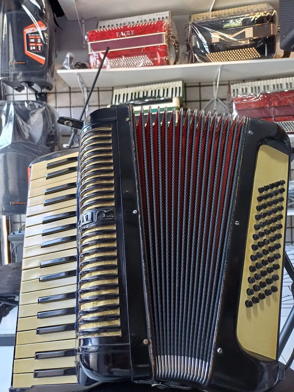 Acordeon Honner de 60 Baixos Eletrificado