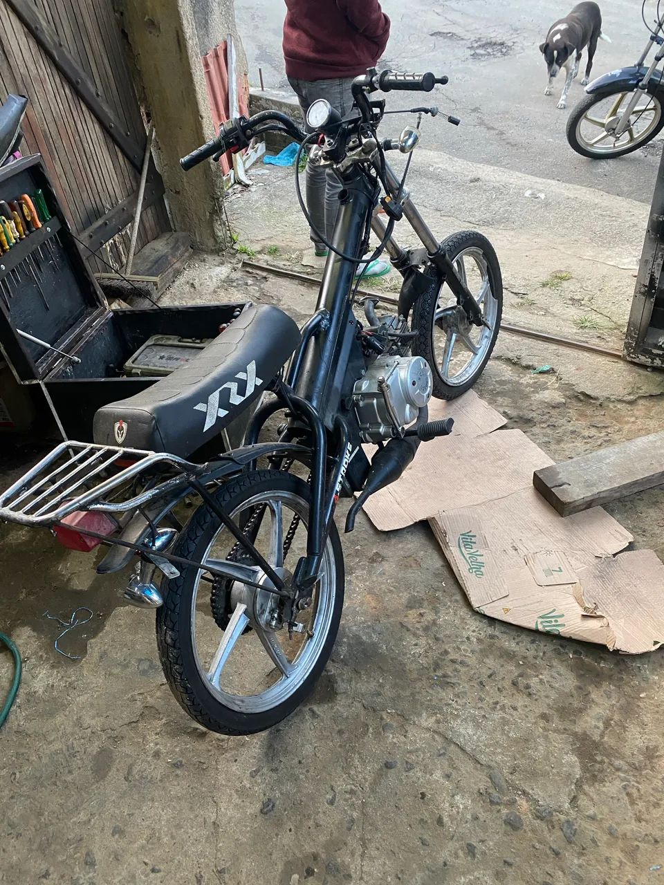2 motinhas 