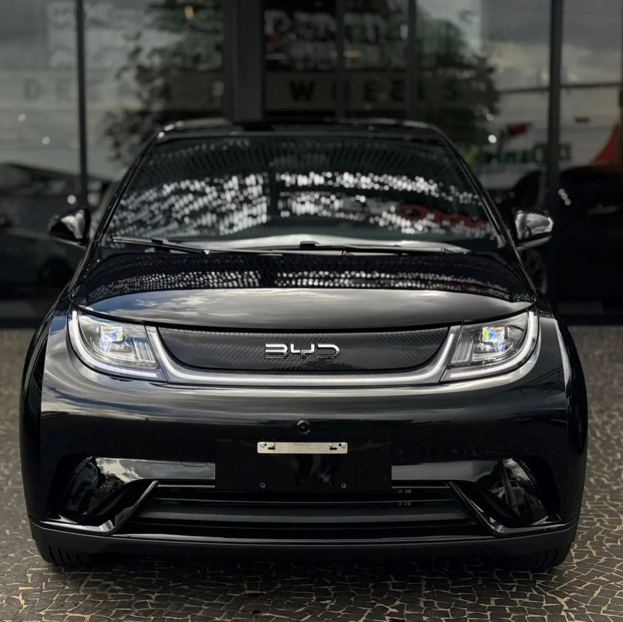 BYD Dolphin Mini (Elétrico) 2025
