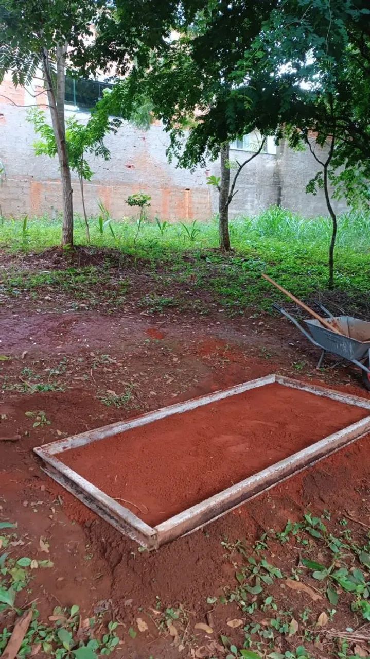 Manutenções em jardim podas de grama e plantios. - Foto 3