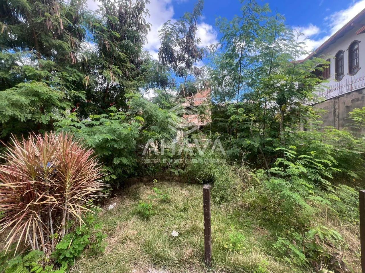 Lote à Venda, 390m² - Heliópolis - Foto 3