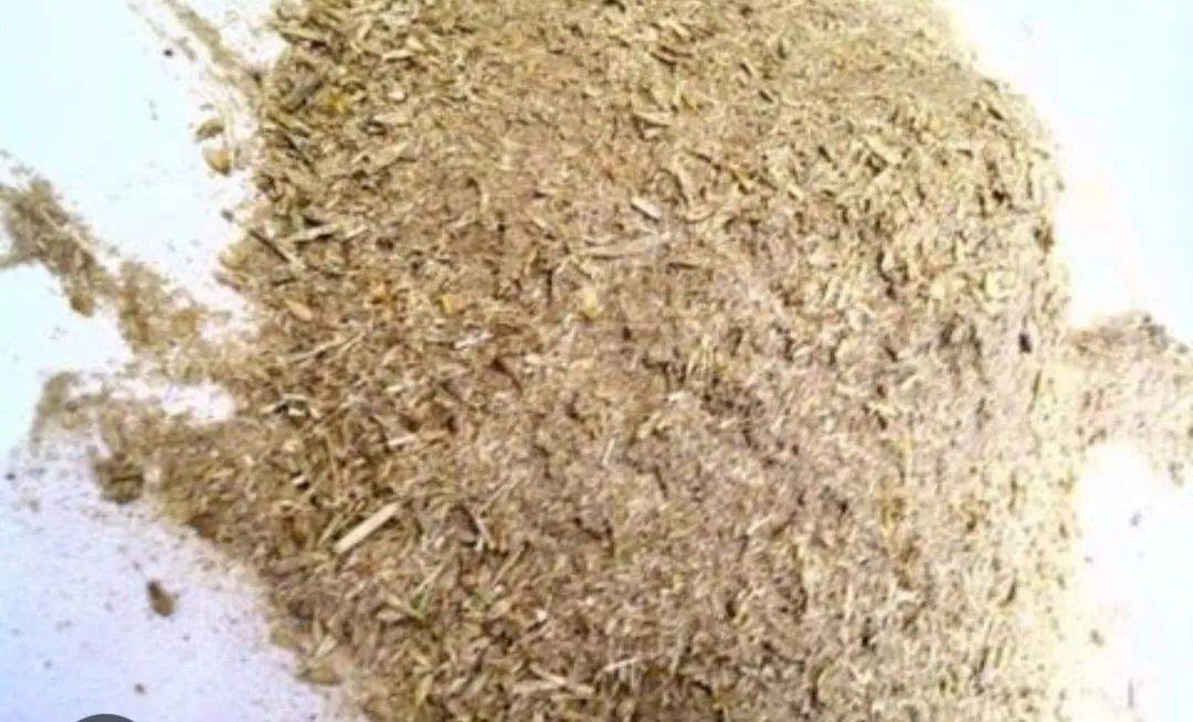 CASQUINHA DE CEVADA SECA E MALTE - Foto 3
