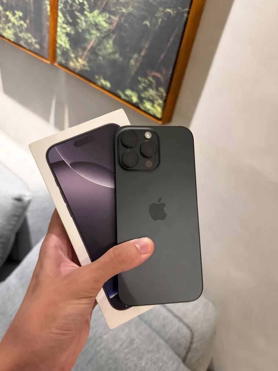 iPhone 16 Pro Max - Novinho 
